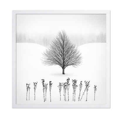 Lone Winter Tree No1