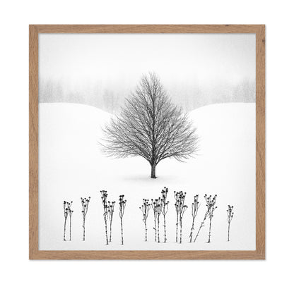 Lone Winter Tree No1