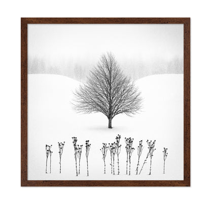 Lone Winter Tree No1