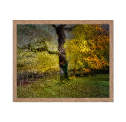 Autumn Dream Tree