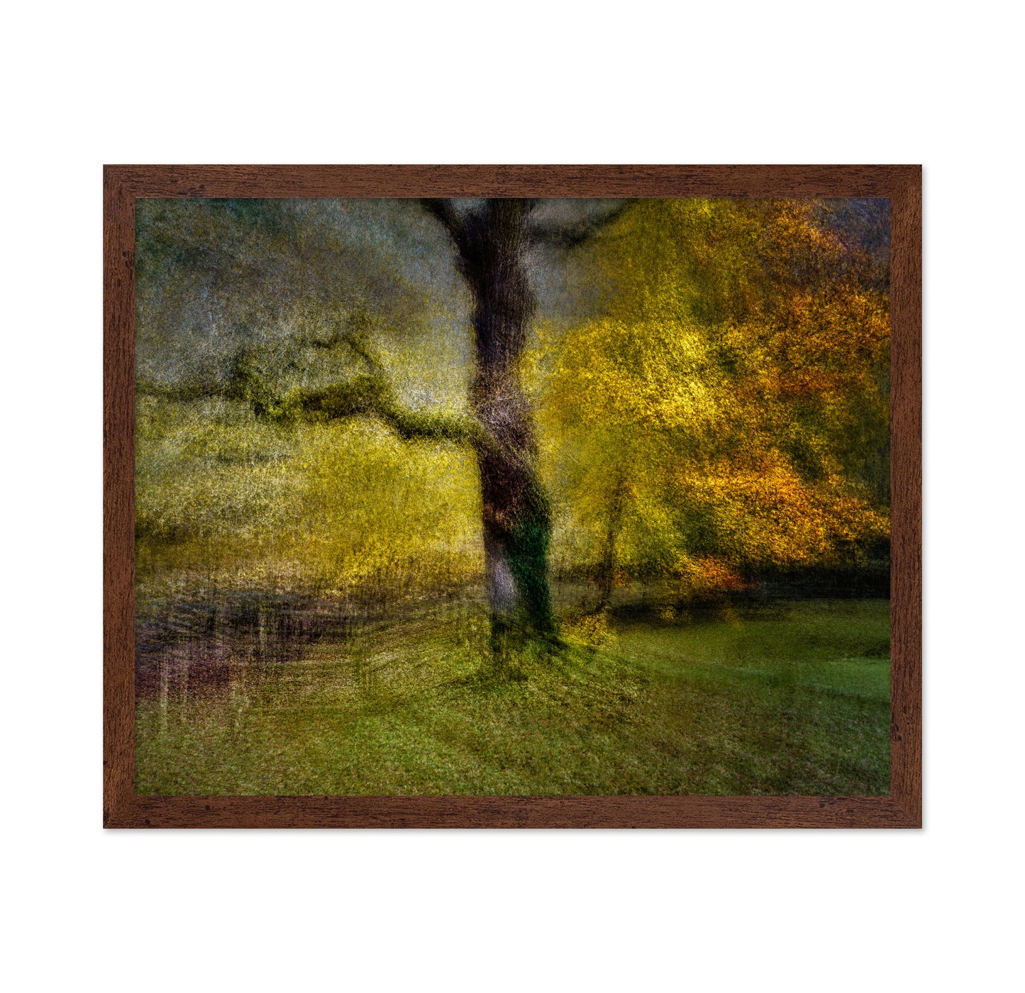 Autumn Dream Tree