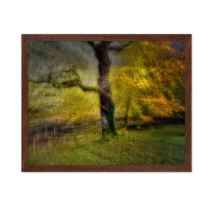 Autumn Dream Tree
