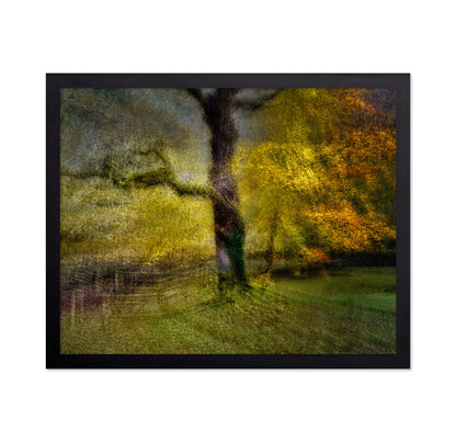 Autumn Dream Tree