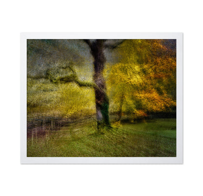 Autumn Dream Tree