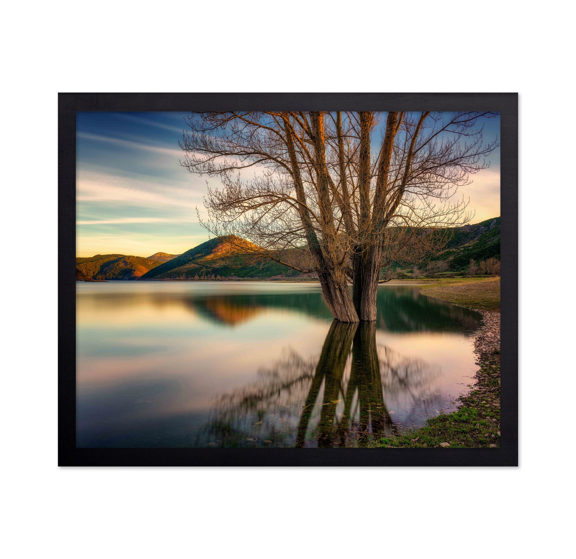 Lakeside Twin Tree