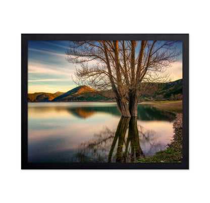 Lakeside Twin Tree