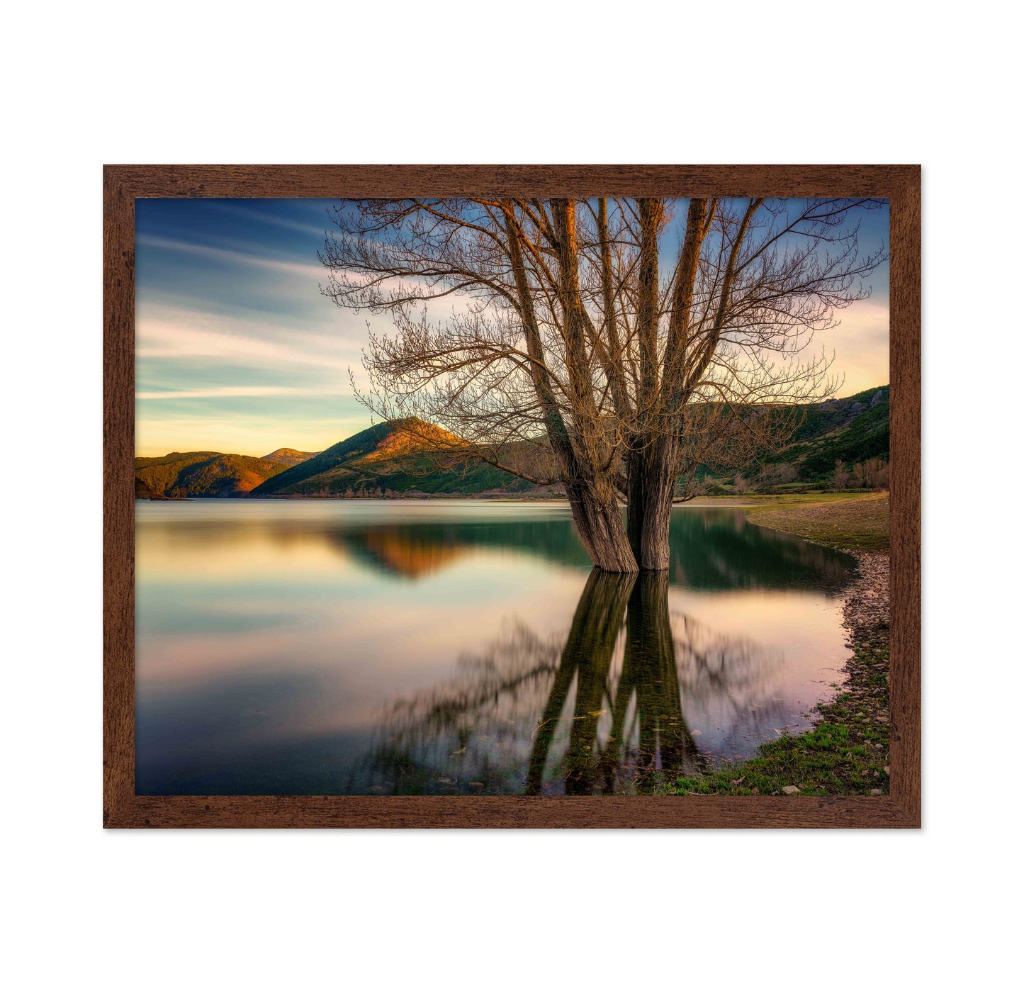 Lakeside Twin Tree