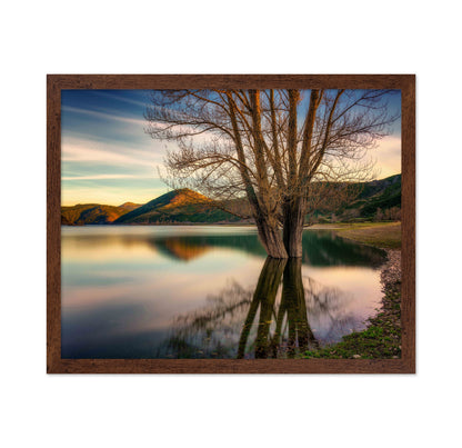 Lakeside Twin Tree