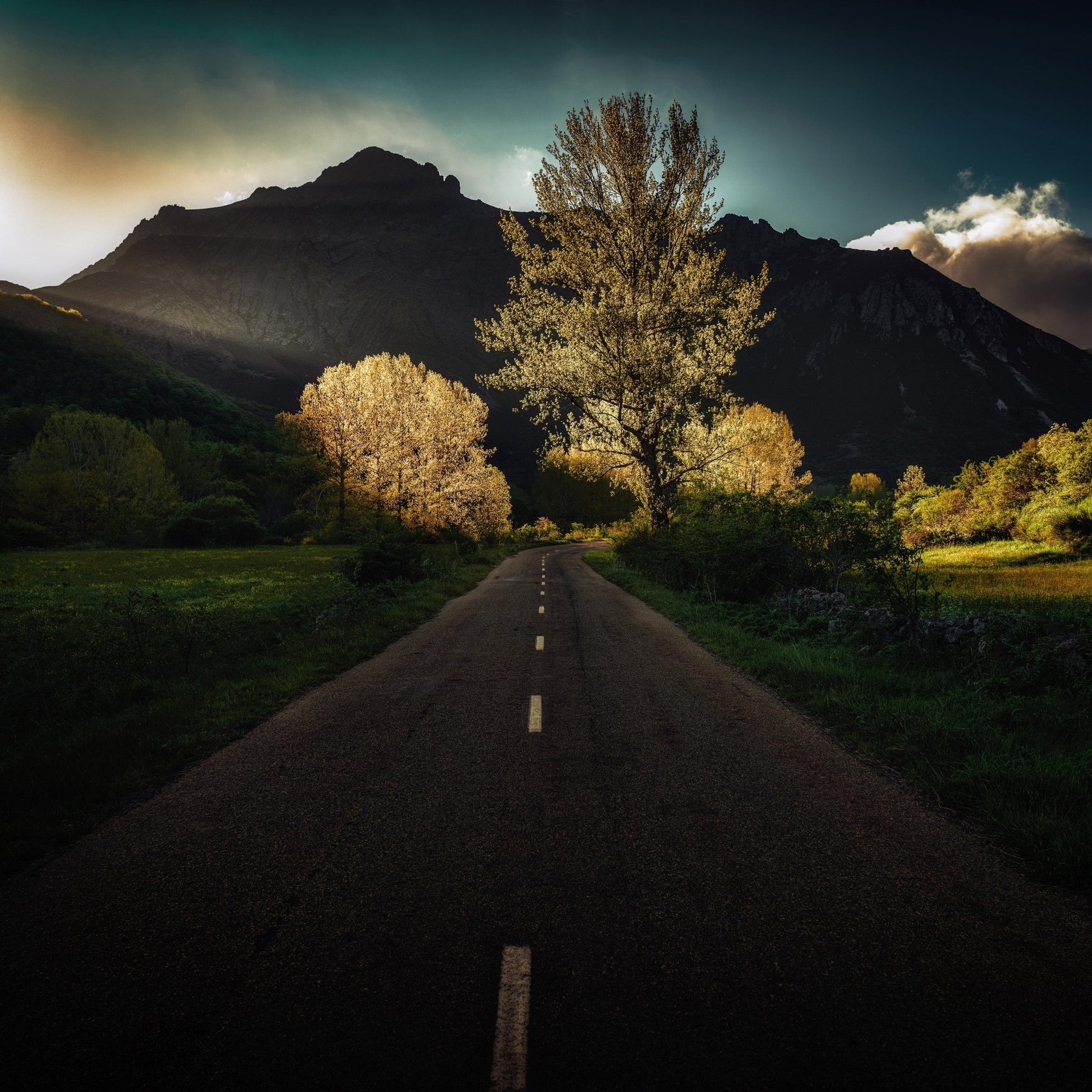 Golden Road To Mountains