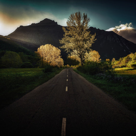 Golden Road To Mountains