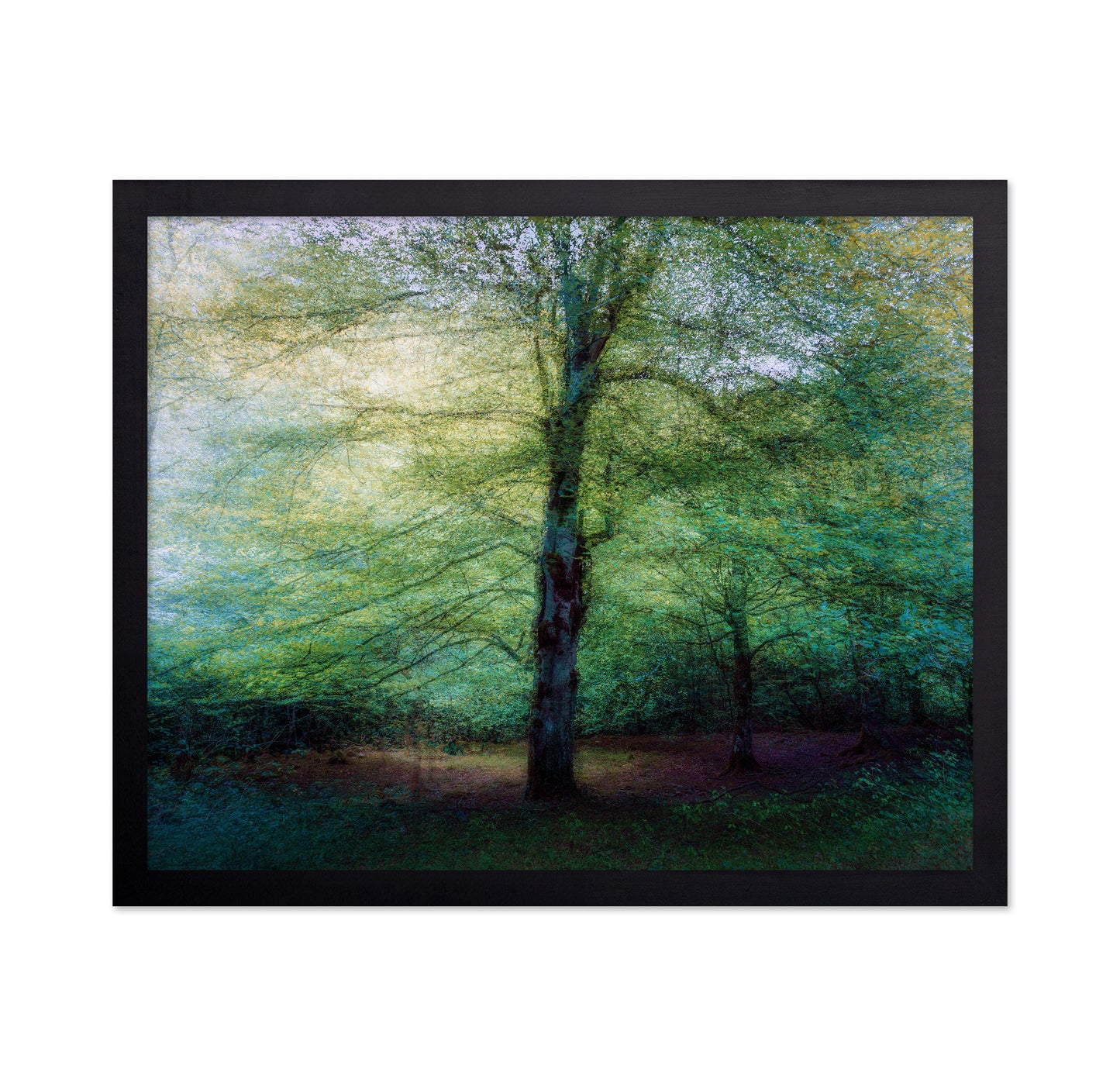 Emerald Forest Glow