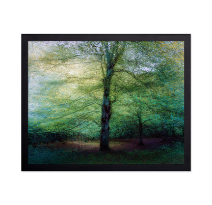 Emerald Forest Glow