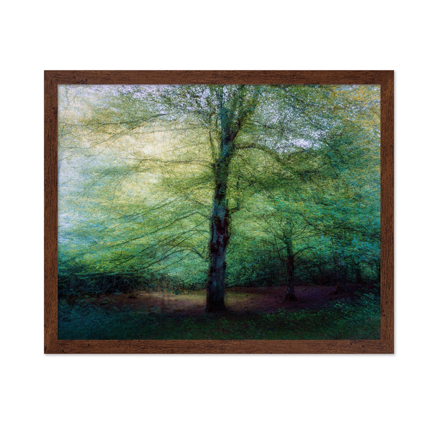 Emerald Forest Glow