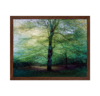 Emerald Forest Glow