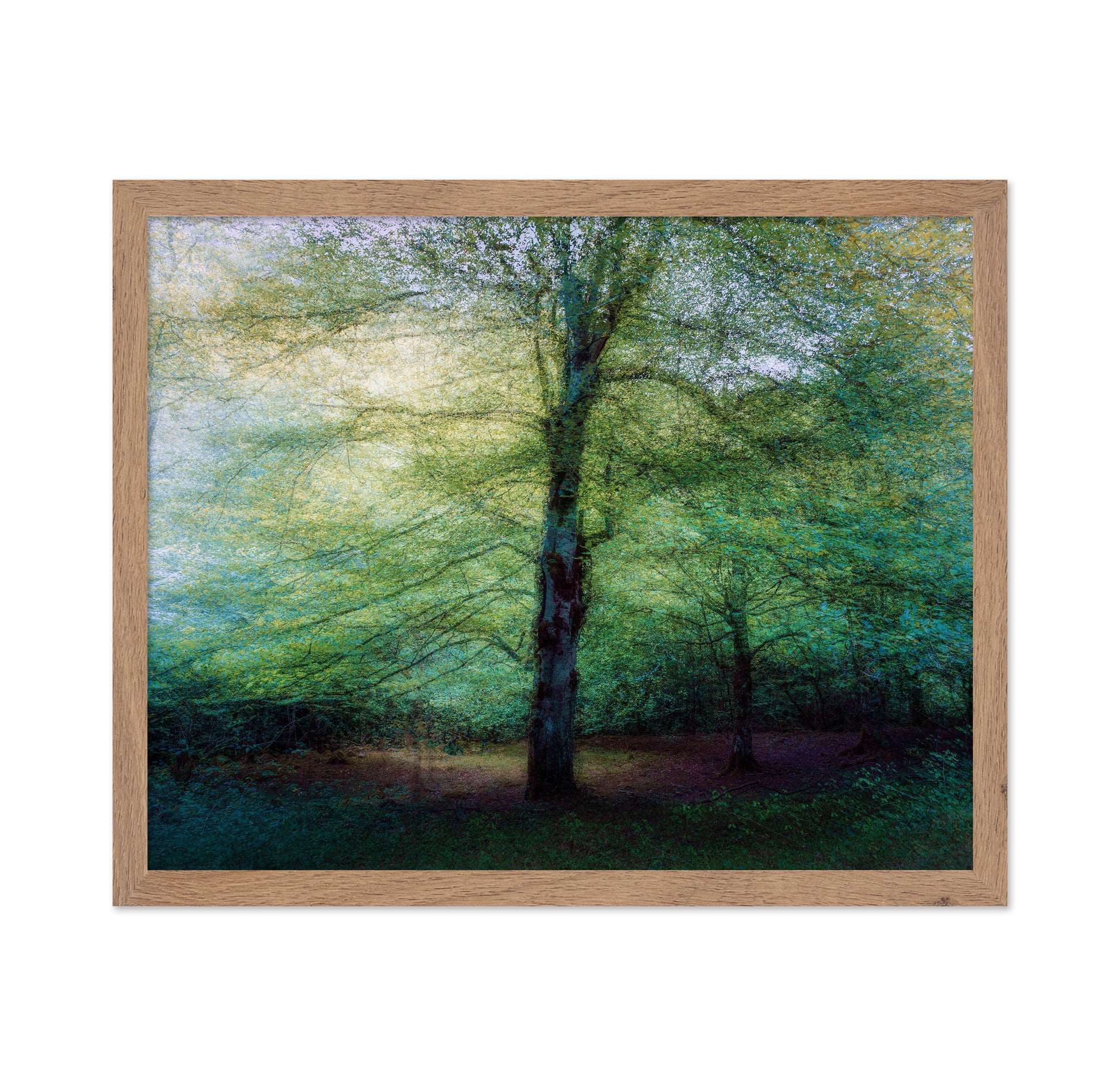 Emerald Forest Glow