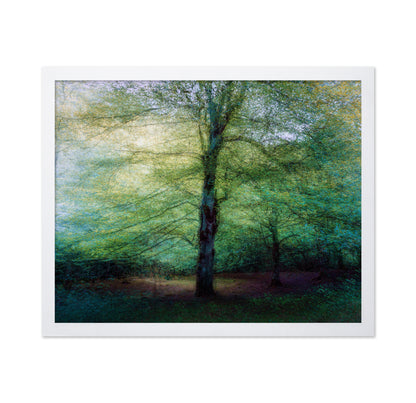Emerald Forest Glow