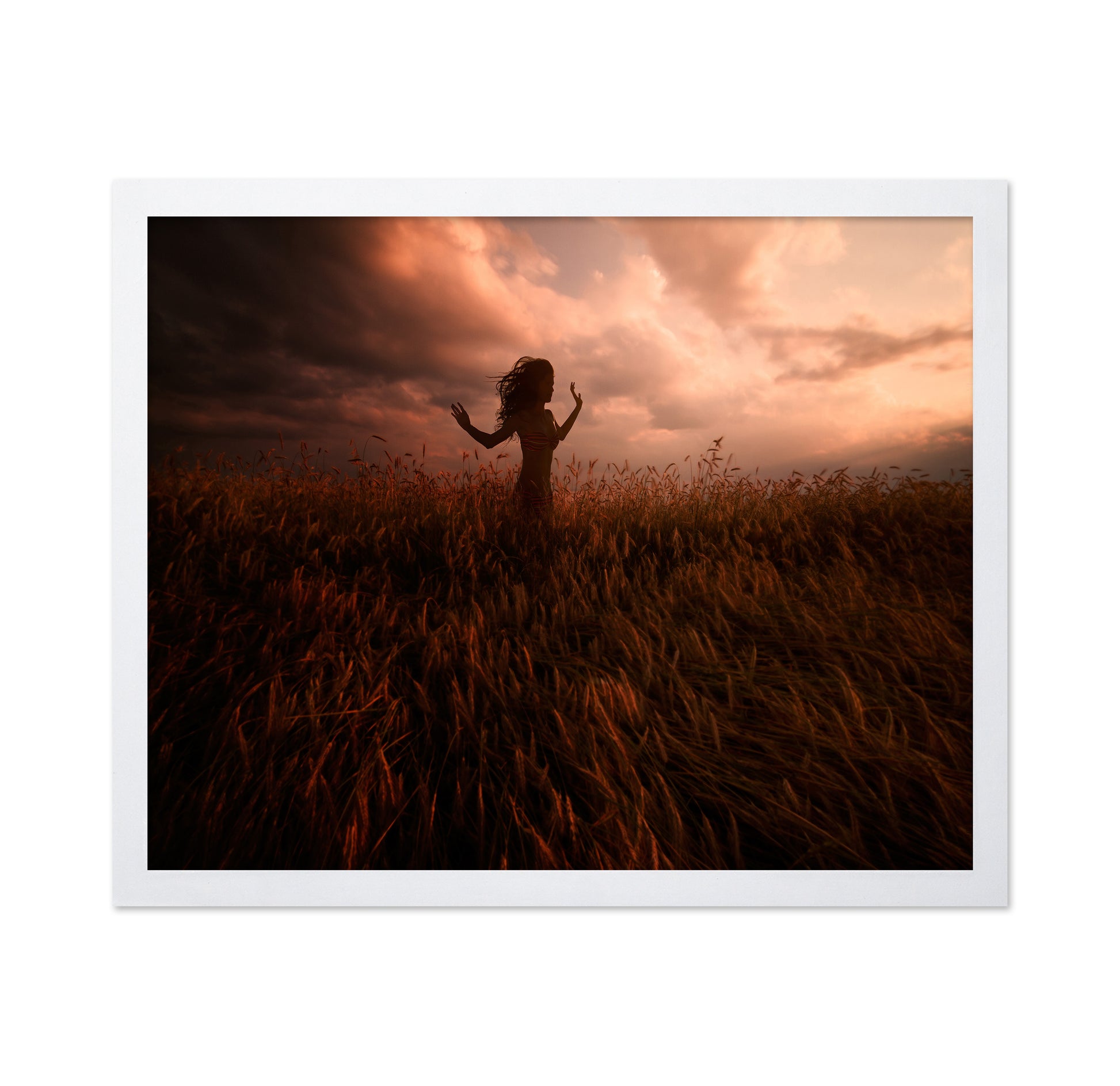 Sunset Dance In Wheat