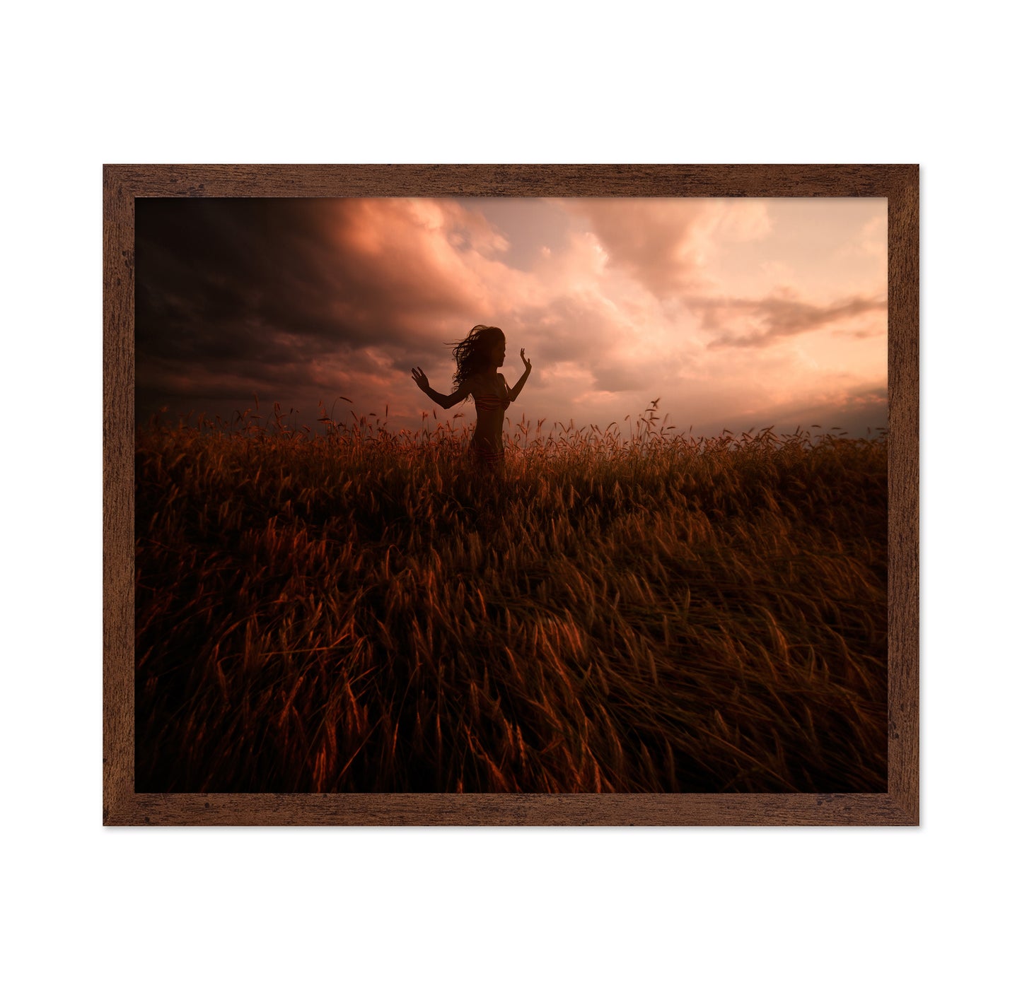 Sunset Dance In Wheat