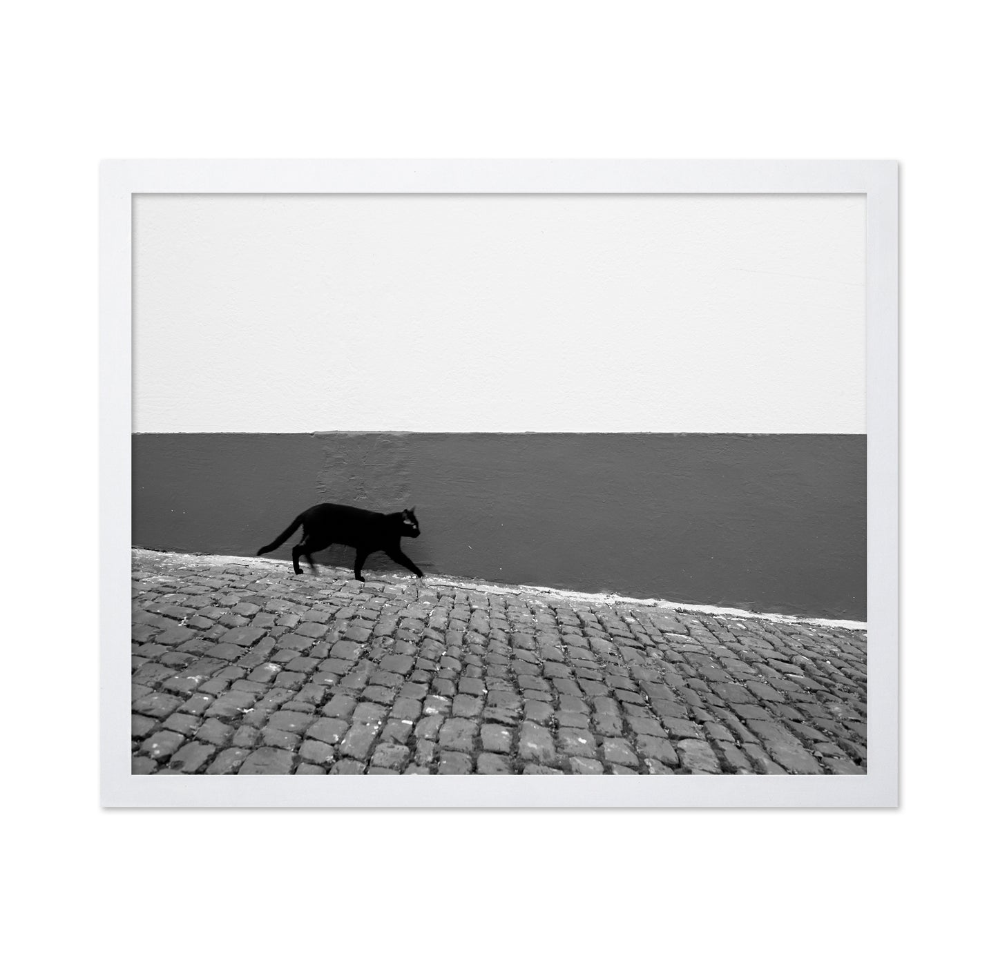 Silent Alley Cat