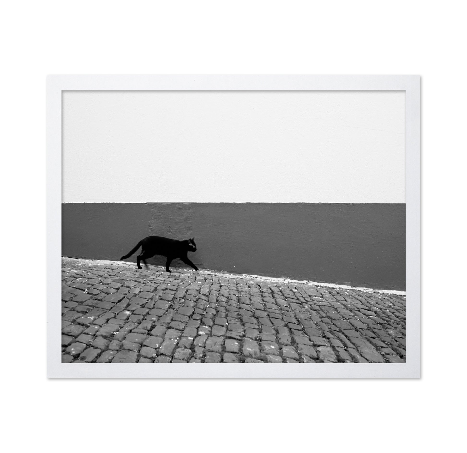 Silent Alley Cat