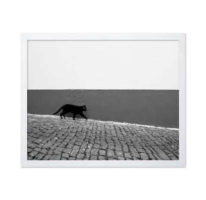 Silent Alley Cat