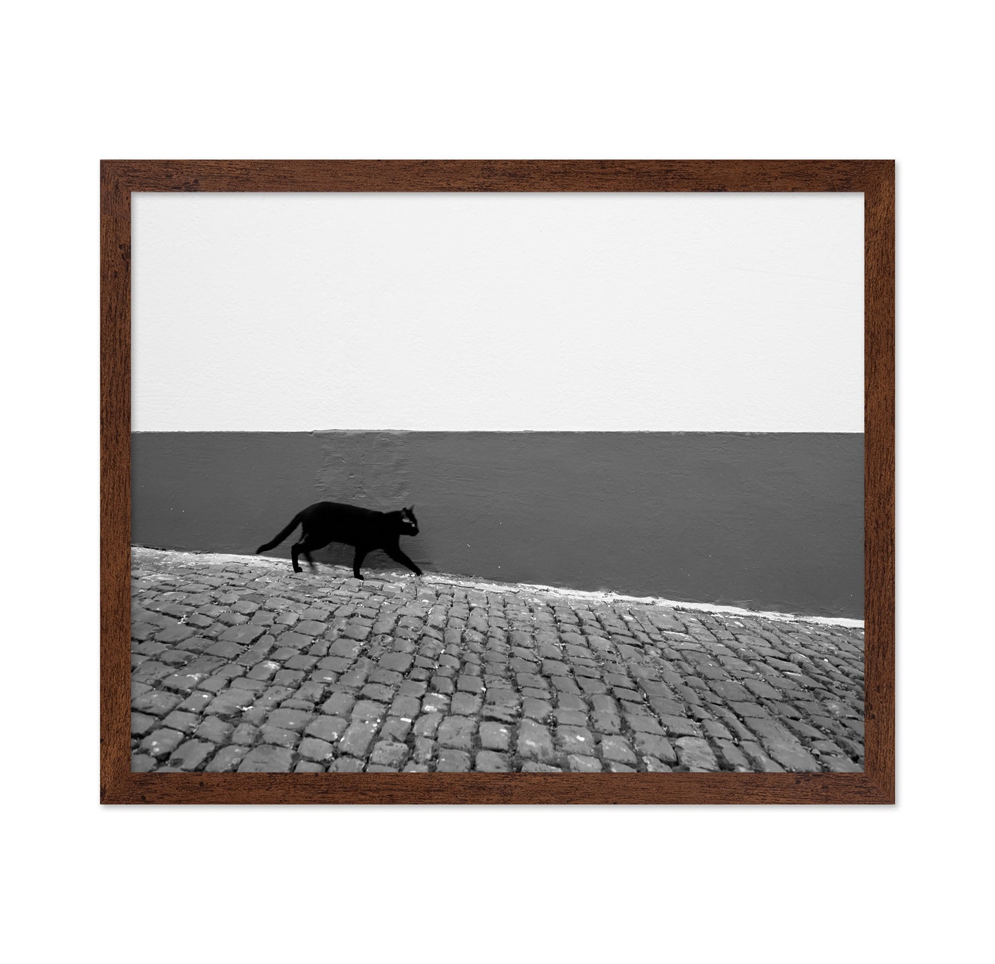 Silent Alley Cat