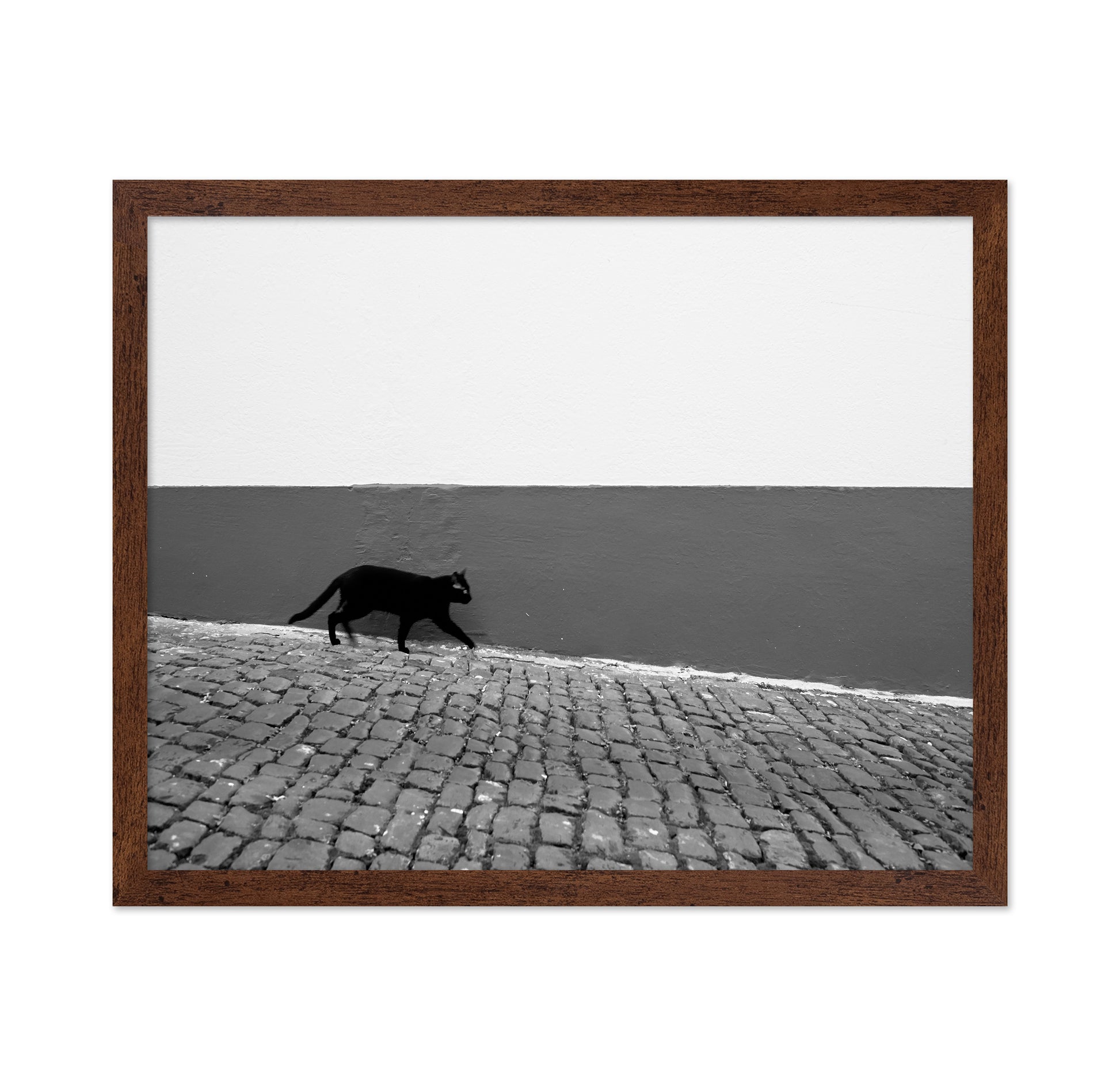 Silent Alley Cat