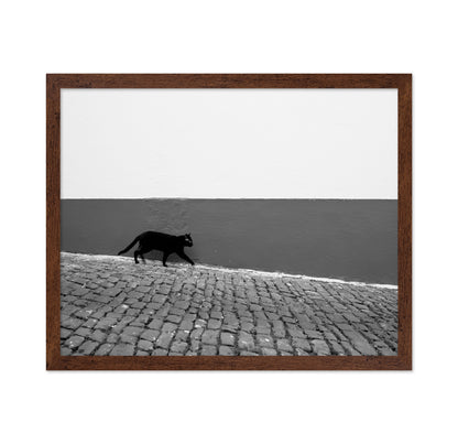 Silent Alley Cat