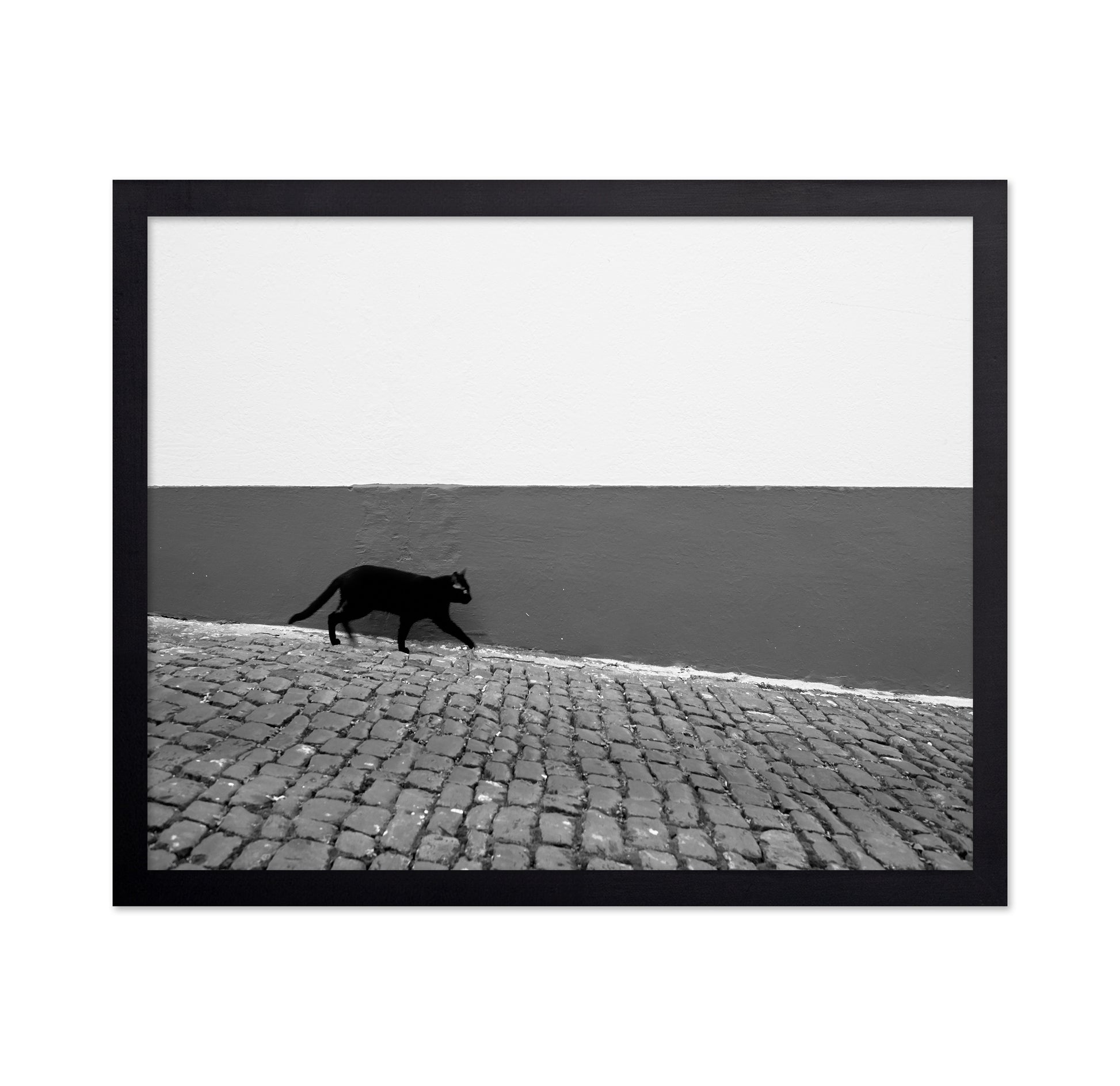 Silent Alley Cat