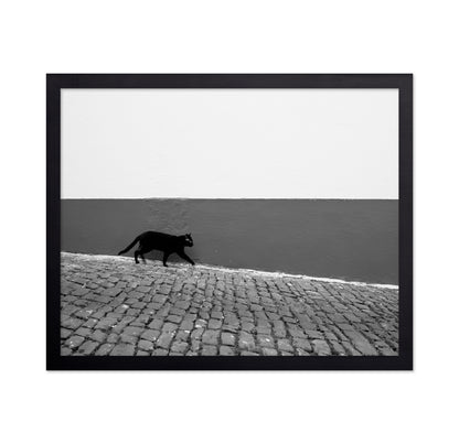 Silent Alley Cat