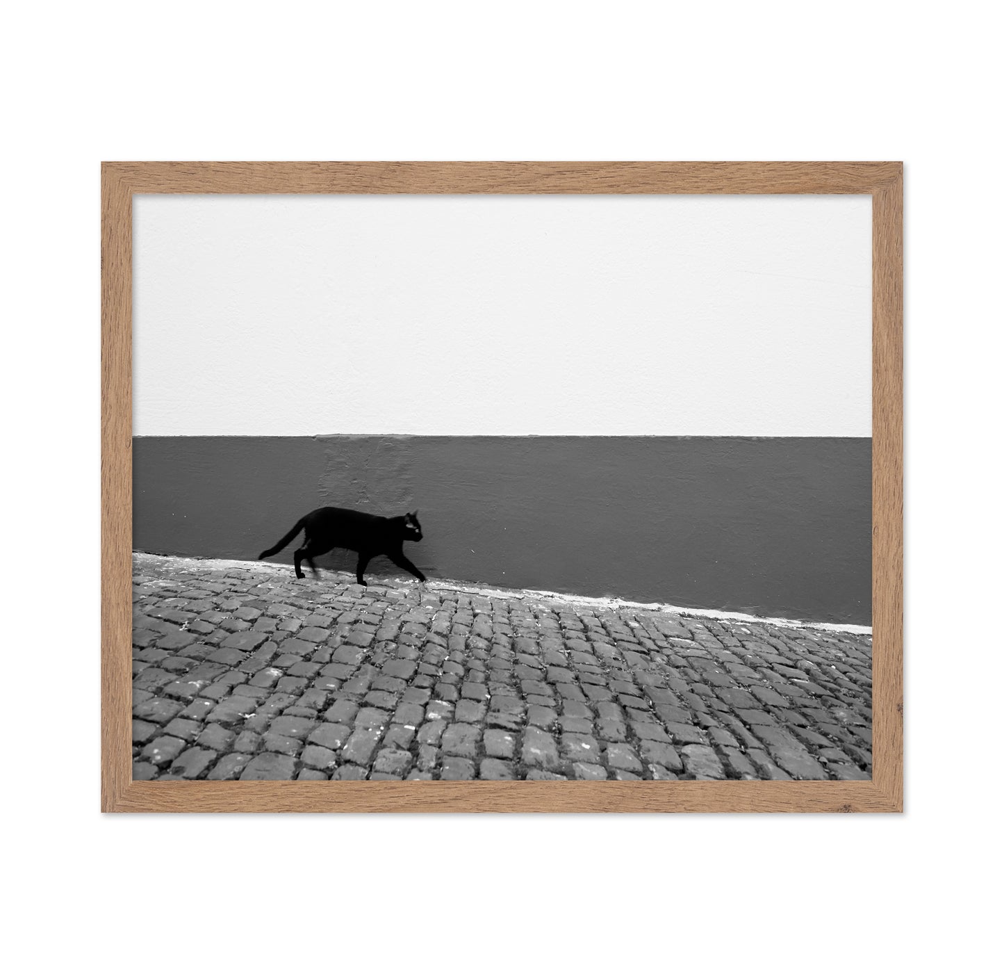 Silent Alley Cat