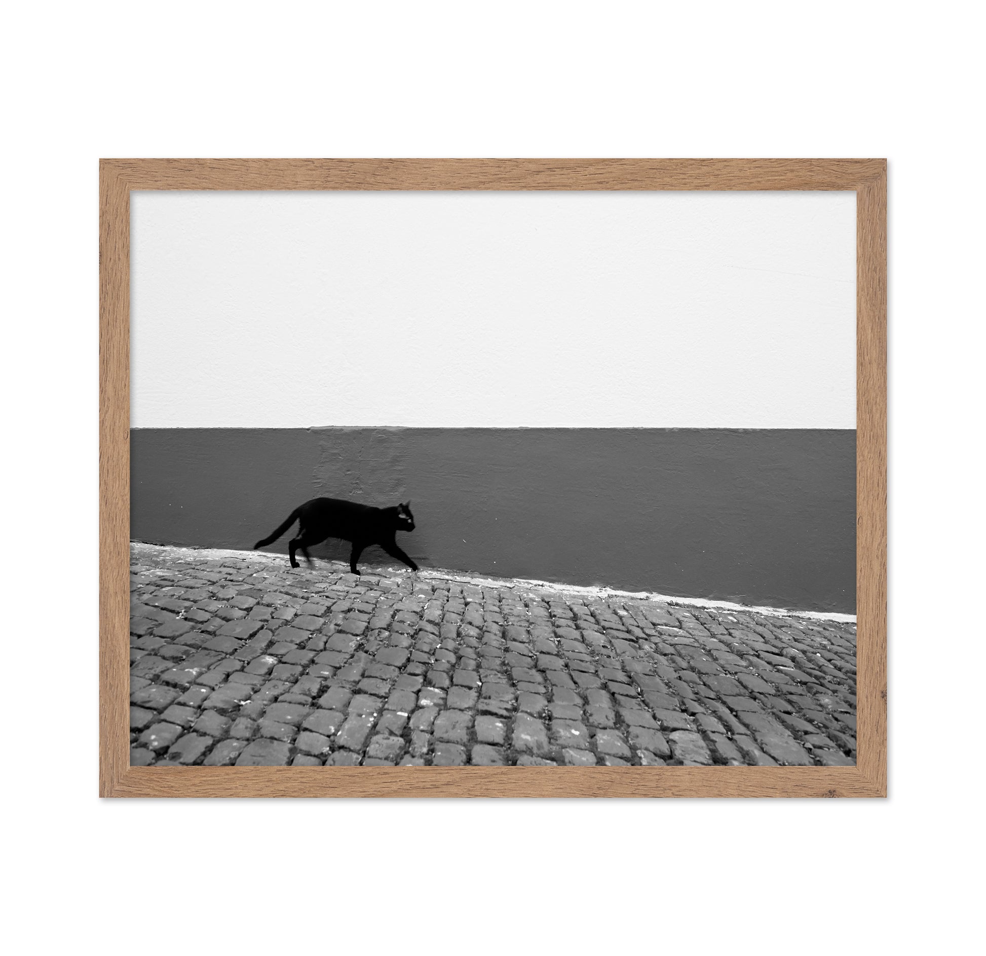 Silent Alley Cat