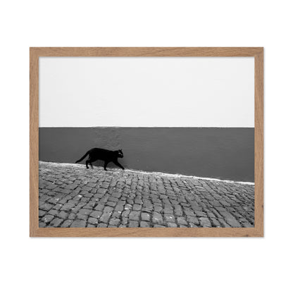 Silent Alley Cat
