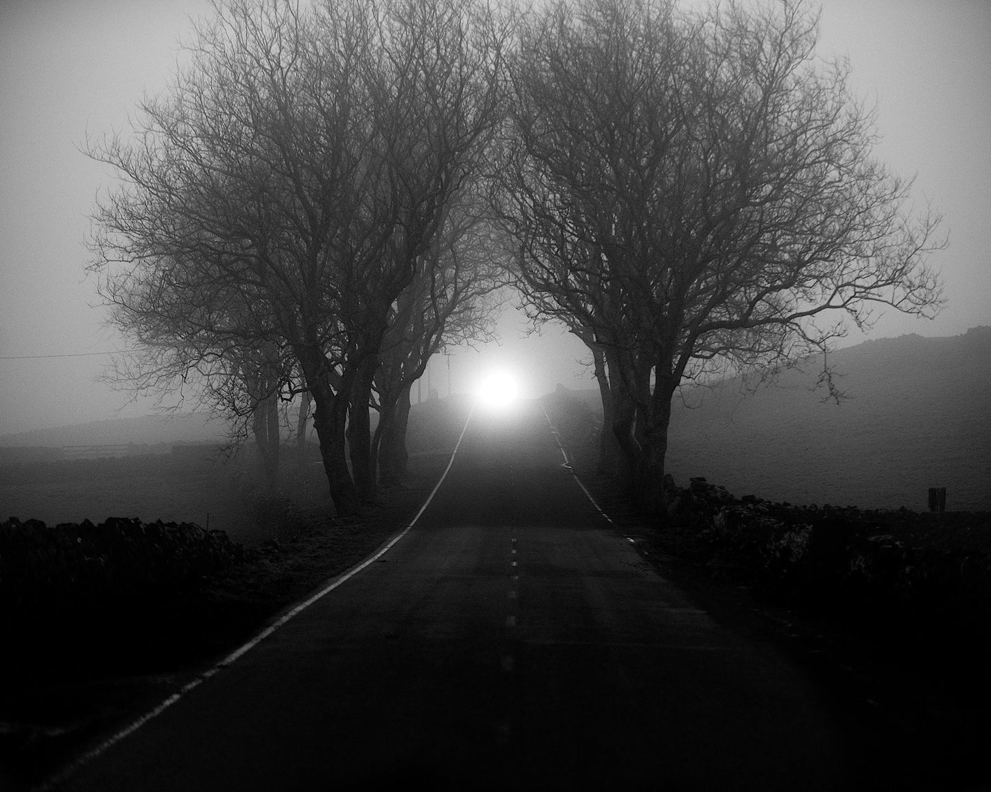 Foggy Road Lights