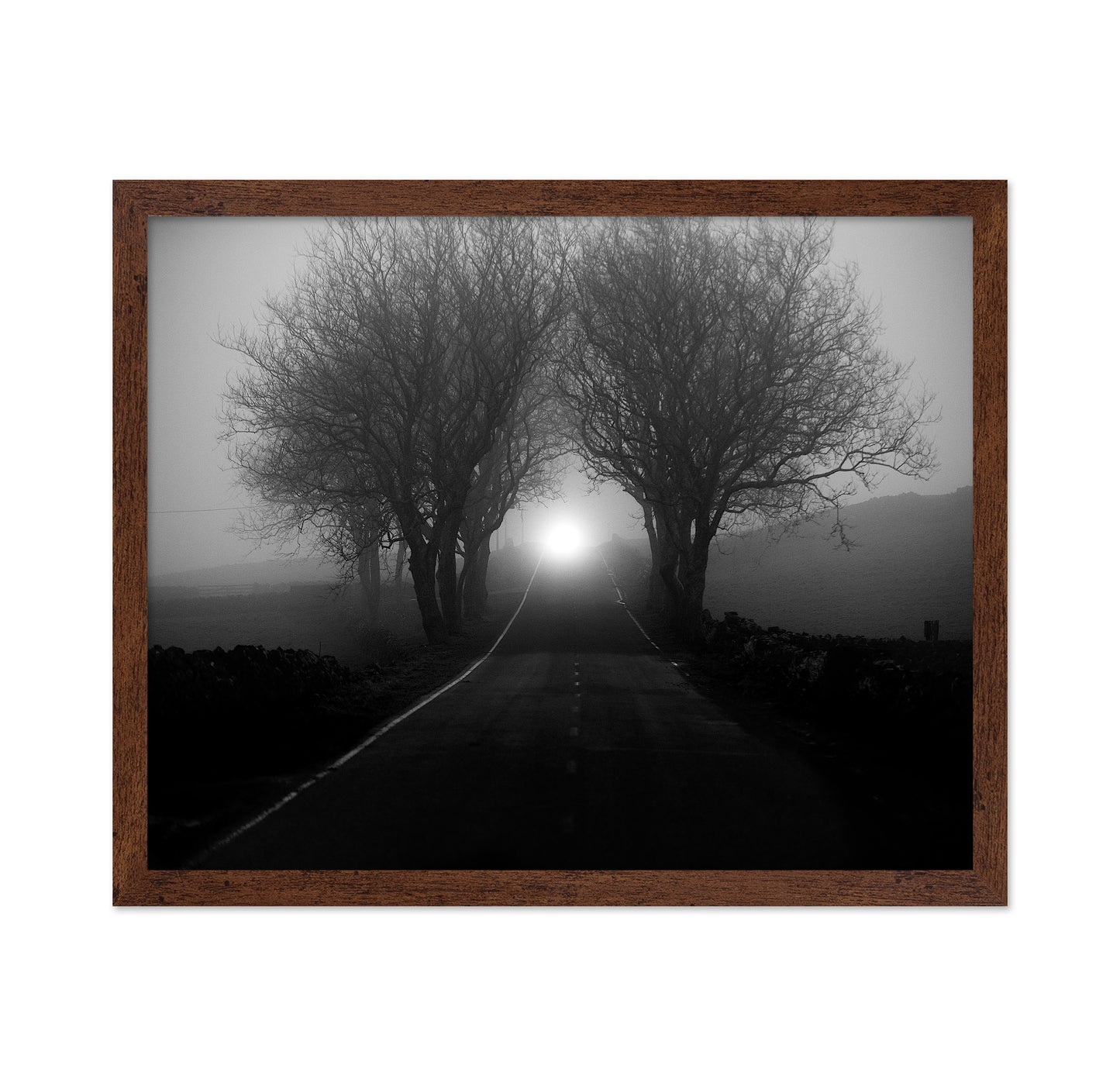 Foggy Road Lights