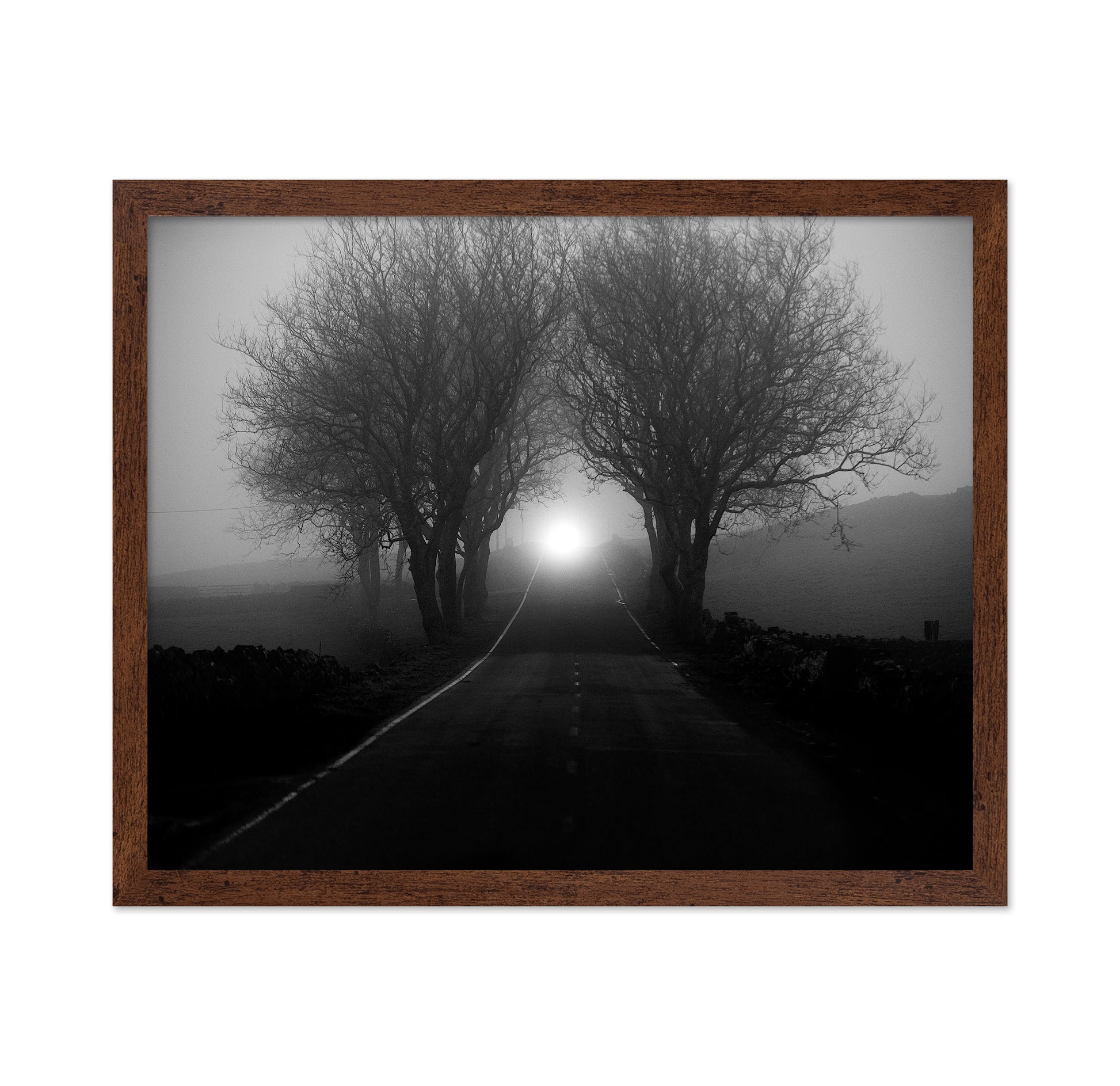 Foggy Road Lights