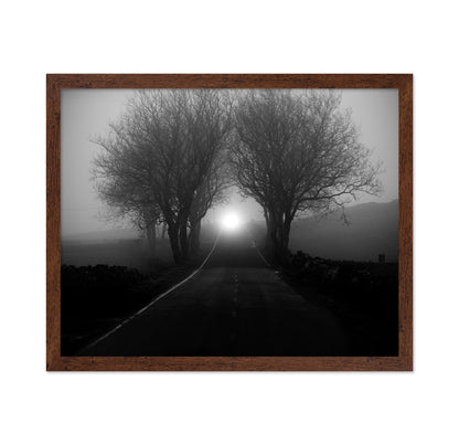 Foggy Road Lights