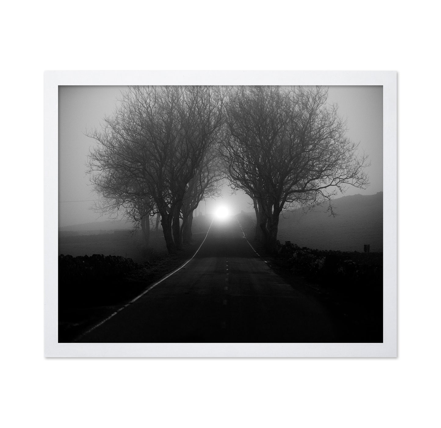 Foggy Road Lights