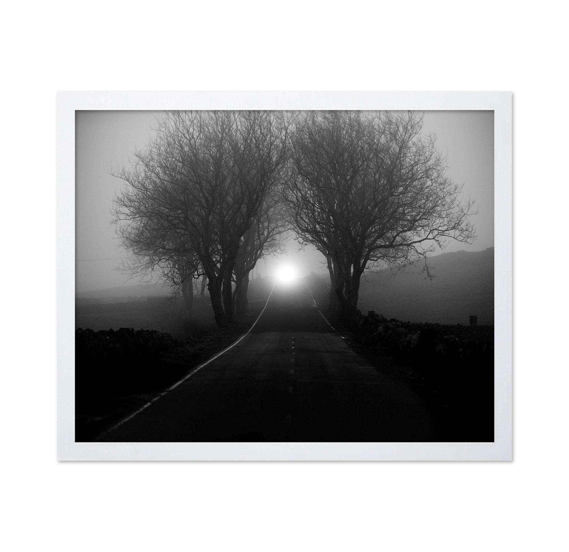 Foggy Road Lights