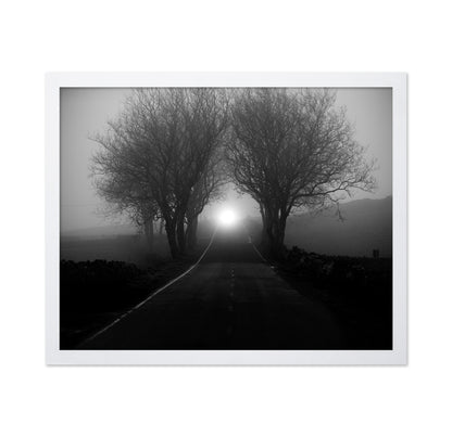 Foggy Road Lights