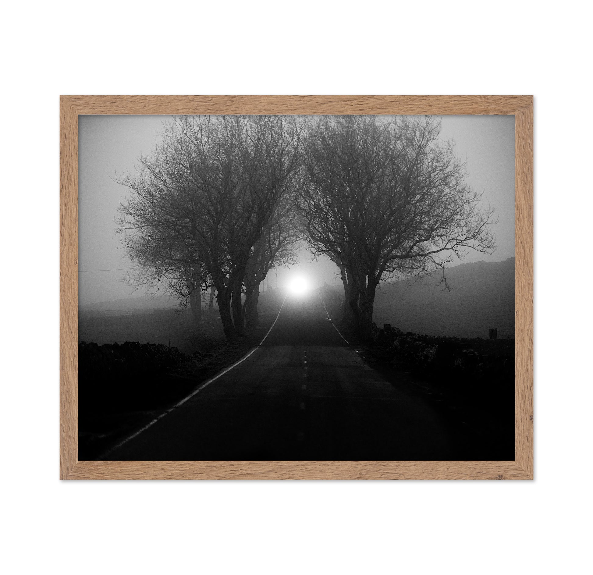 Foggy Road Lights