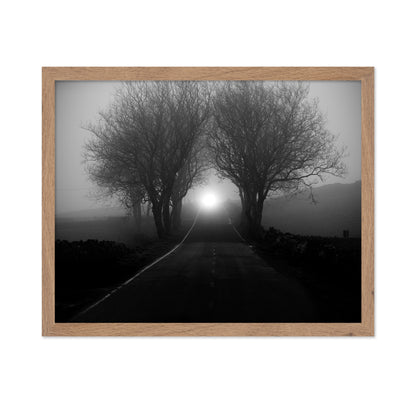 Foggy Road Lights