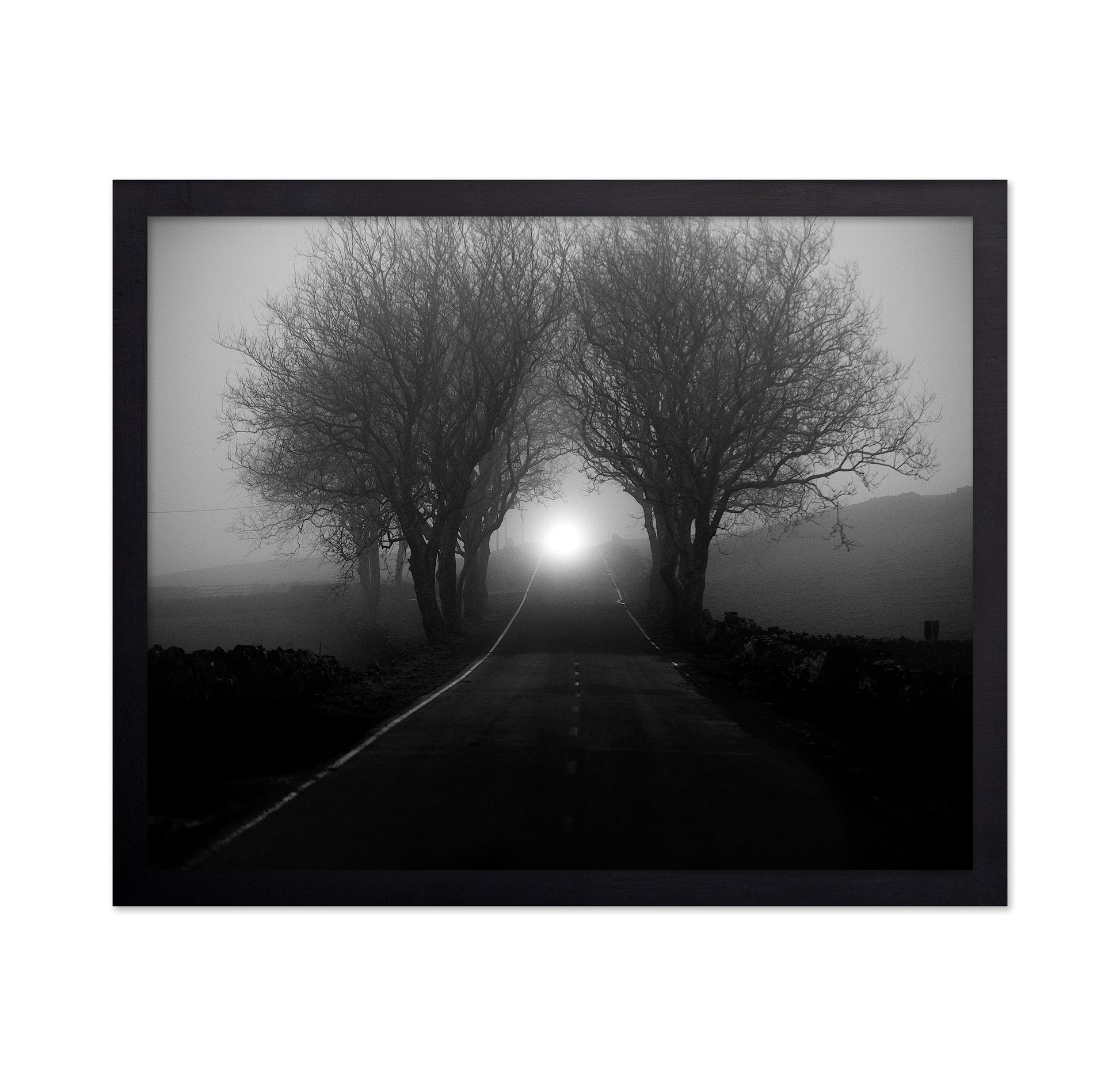 Foggy Road Lights