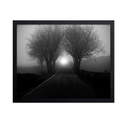 Foggy Road Lights