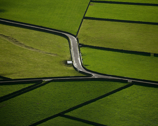 Country Road Crossing