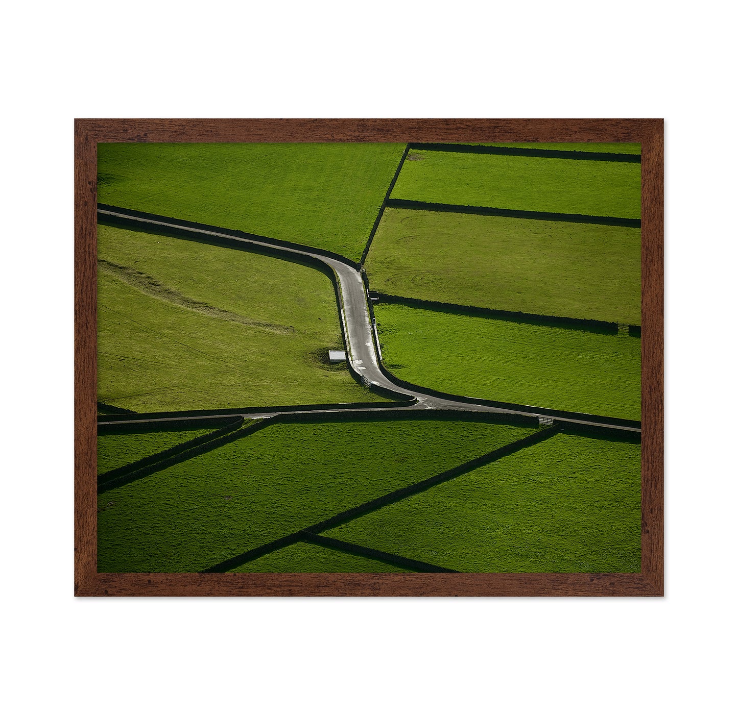 Country Road Crossing