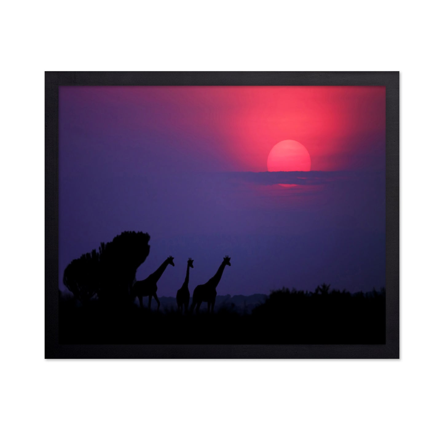 Giraffes At Sunrise