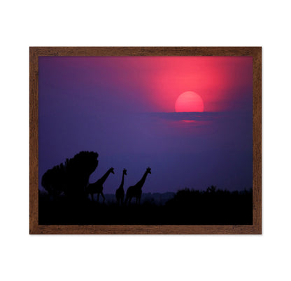 Giraffes At Sunrise