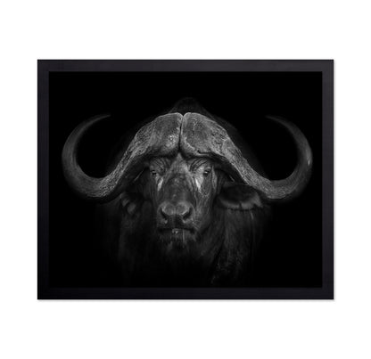Majestic Buffalo
