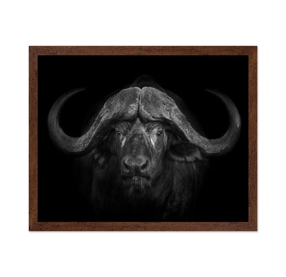 Majestic Buffalo